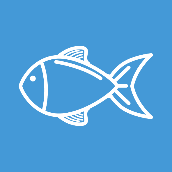 Rezeptbesonderheiten_ Fisch